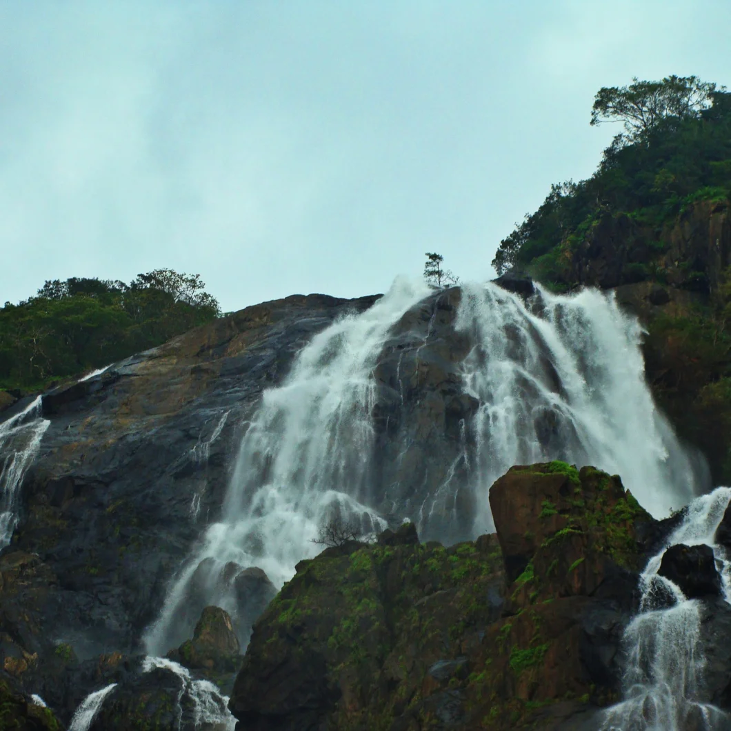 Car Rental Services Near In North Goa